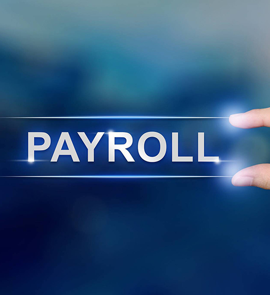 Payroll and HRM Solution